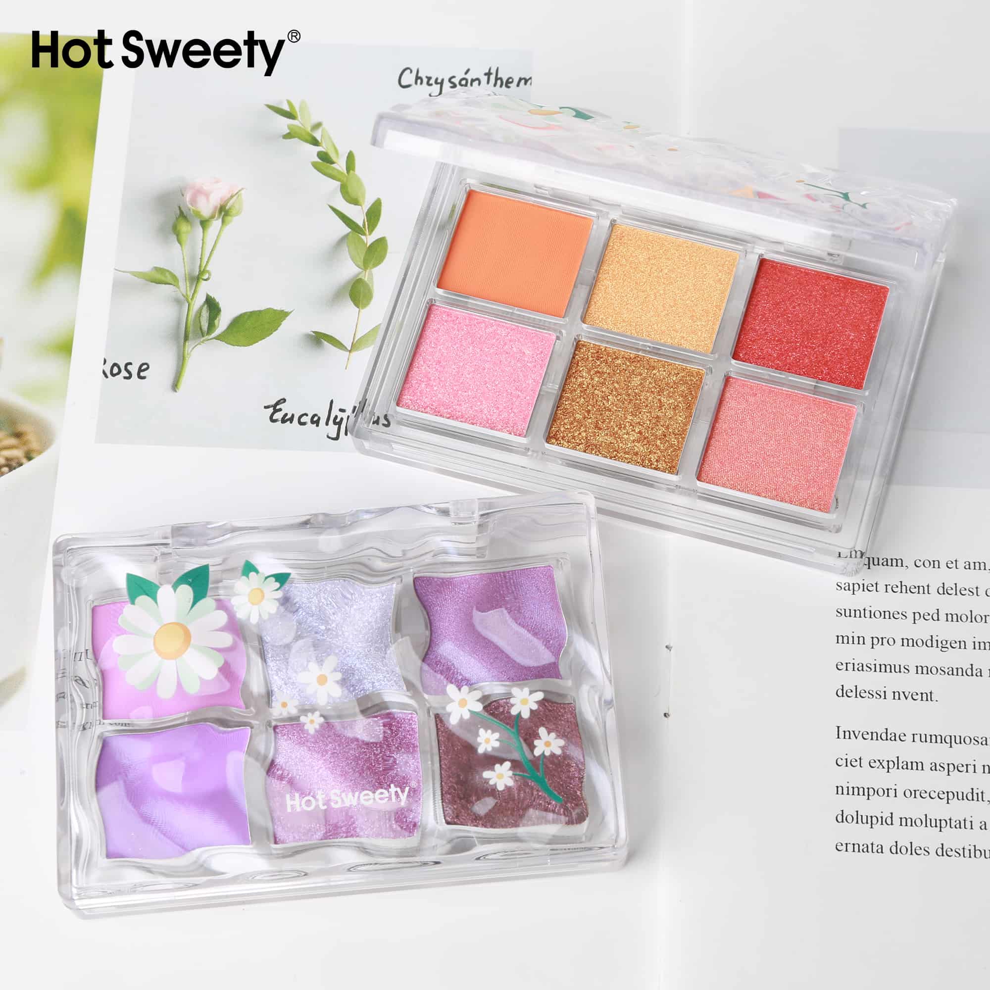 Introducing the Latest Trendy 6 Color Eyeshadow Palette